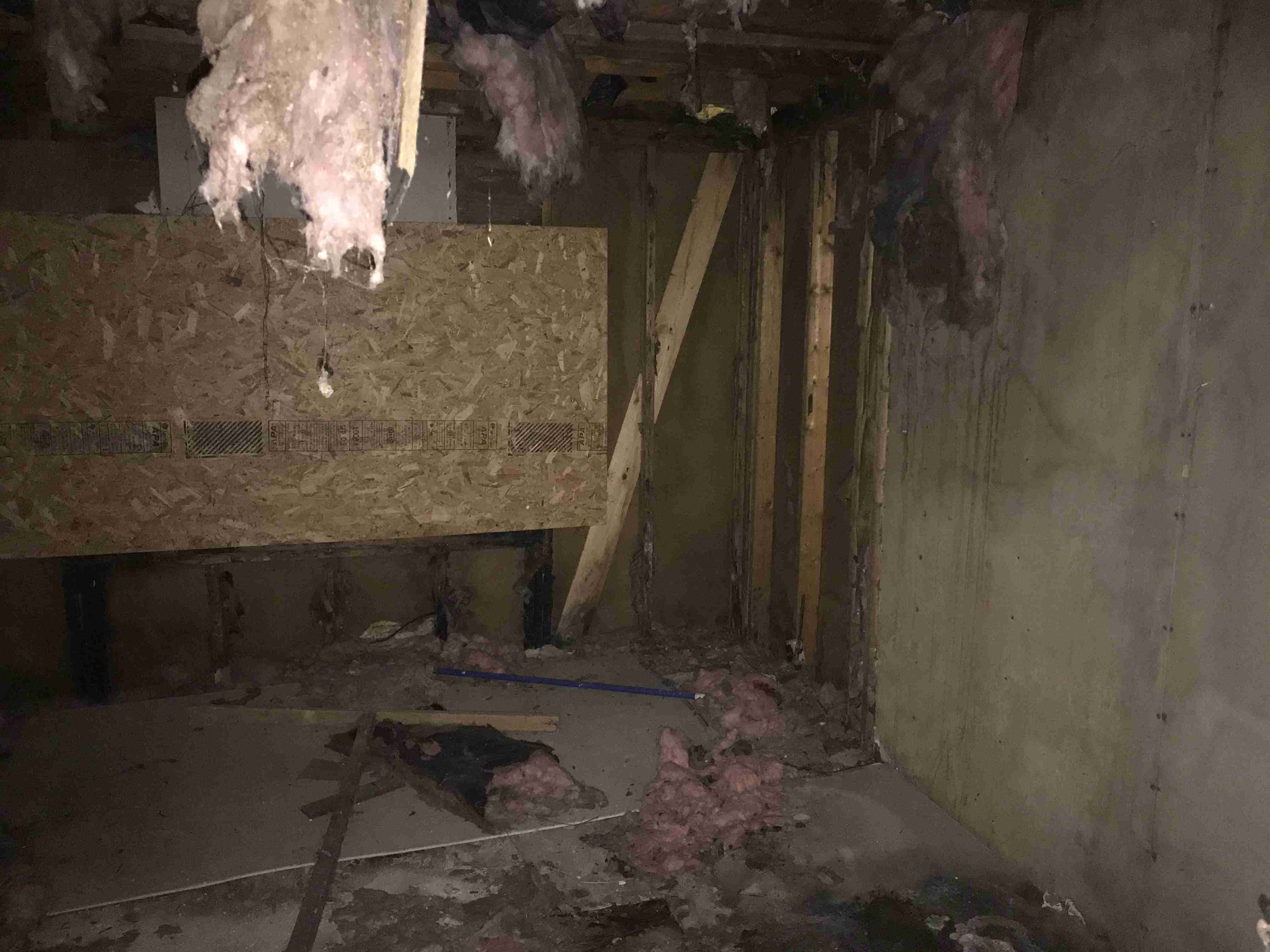 Photo Aug 21, 1 28 50 PM (1).jpg